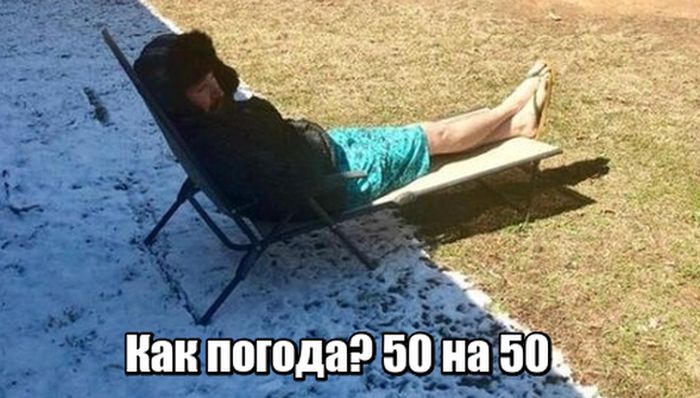 Прикольные картинки