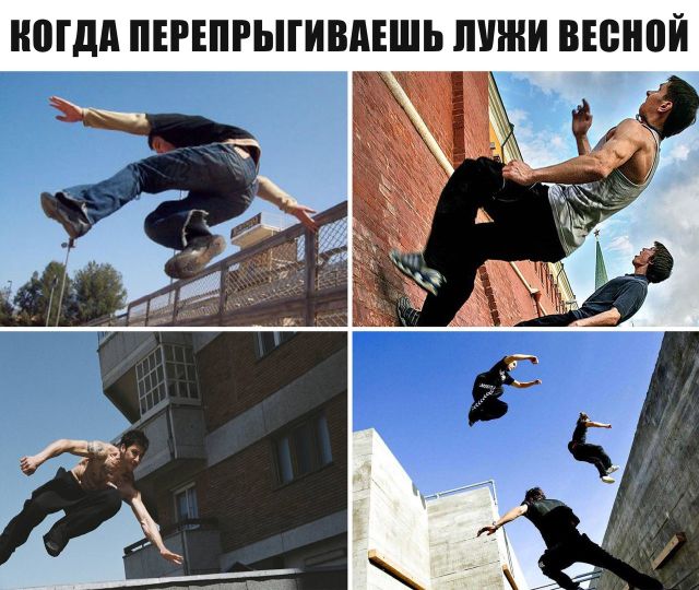 Прикольные картинки