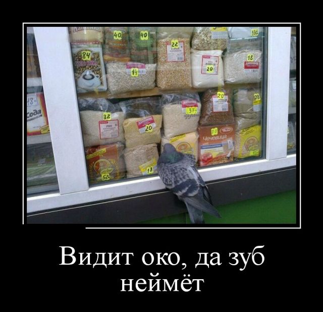 Демотиваторы