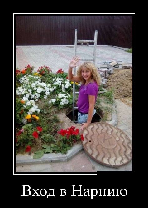 Демотиваторы