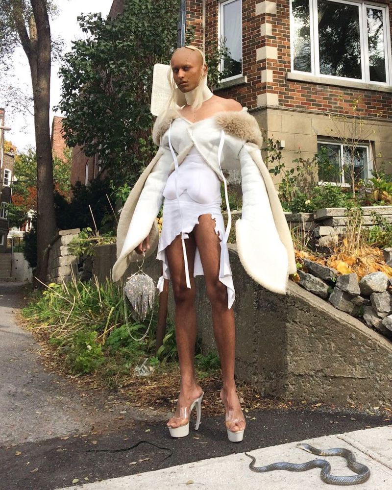 В диком мире Instagram водятся фекальные монстры