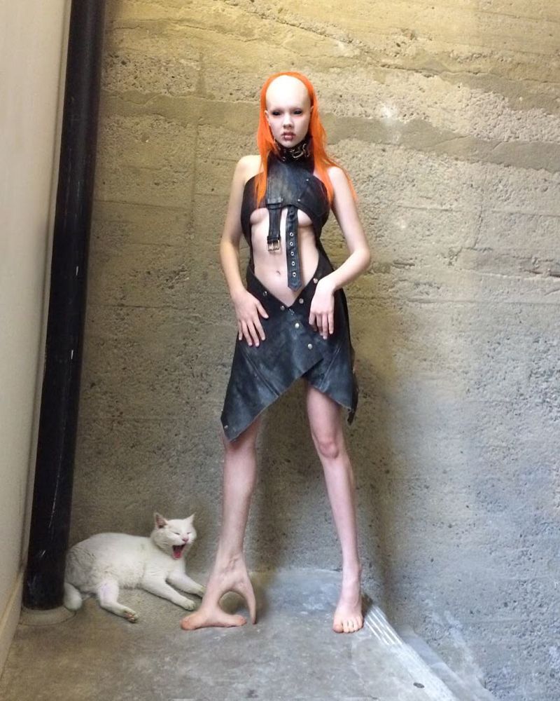 В диком мире Instagram водятся фекальные монстры