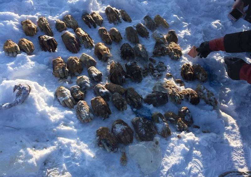 Бывают в жизни огорчения...
