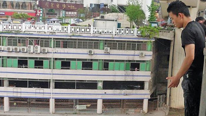 Неудачный паркур. Молодой трейсер погиб, прыгнув с моста (5 фото)