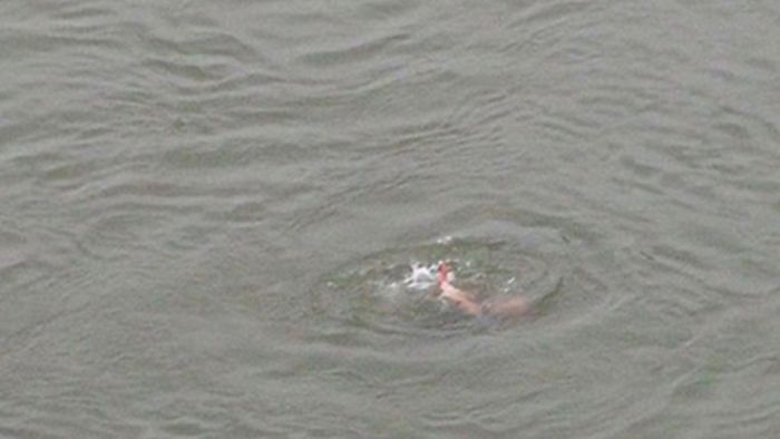 Неудачный паркур. Молодой трейсер погиб, прыгнув с моста (5 фото)