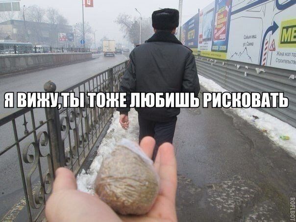 Прикольные картинки  (101 фото)