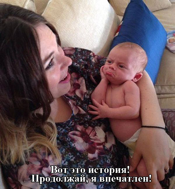 Порция картинок