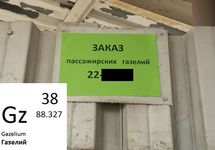 Порция картинок
