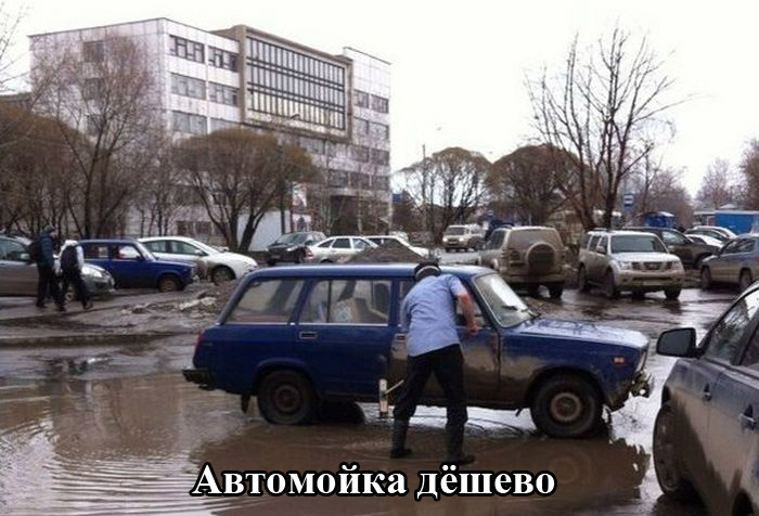 Порция картинок