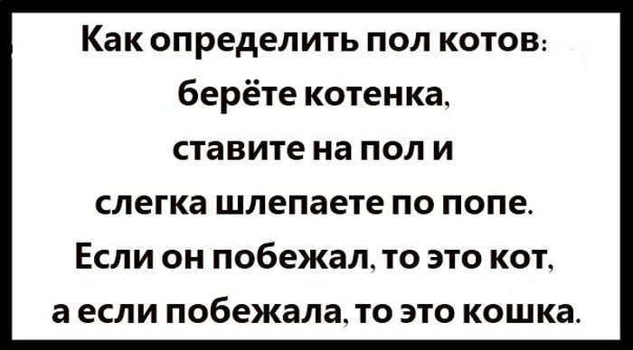 Порция картинок