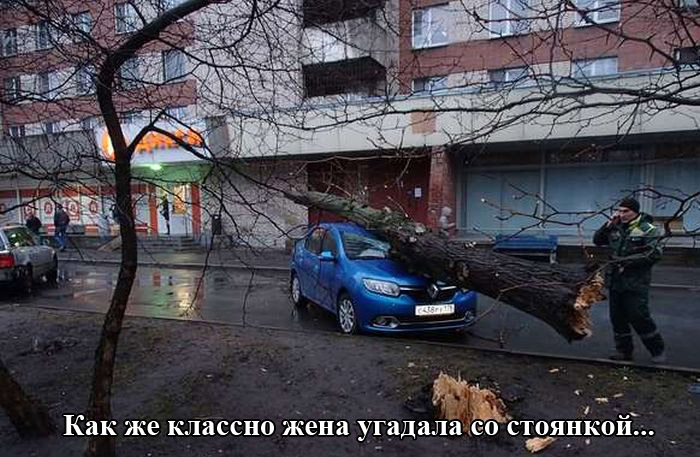 Порция картинок