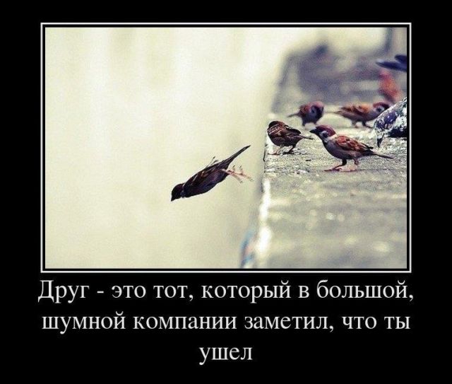 Демотиваторы