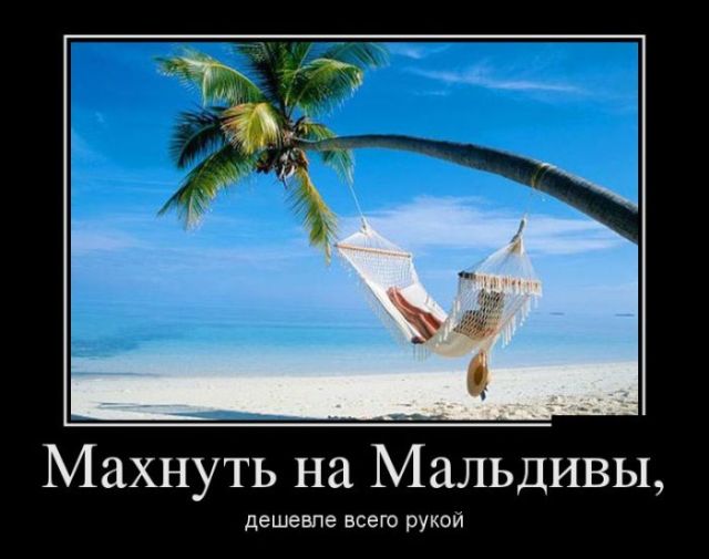 Демотиваторы