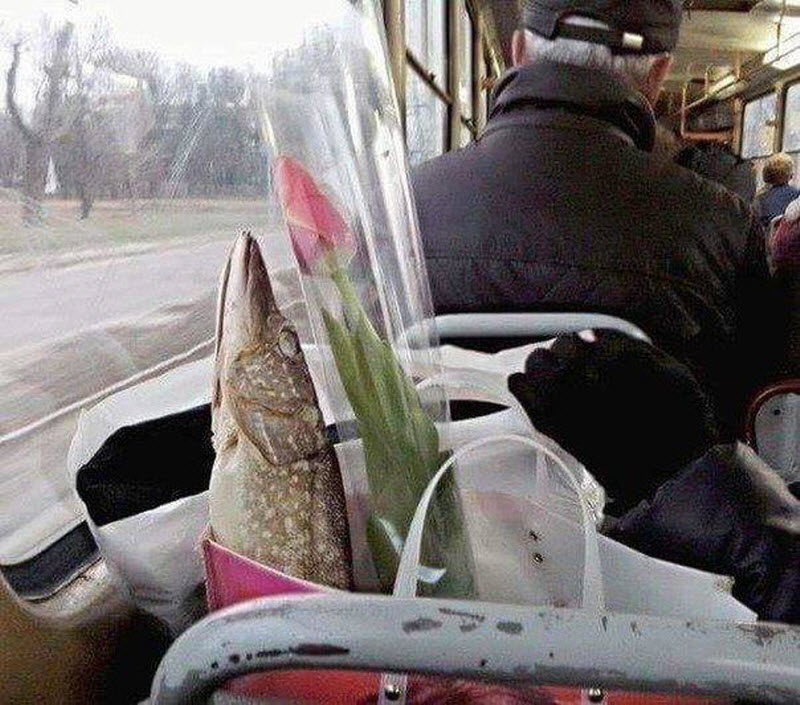 Вестник социальных сетей