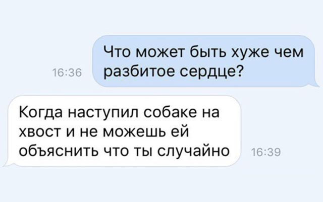 Смешные картинки с подписями