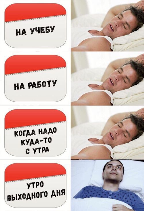 Смешные картинки с подписями