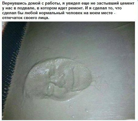 Прикольные картинки (88 фото)