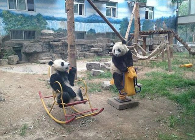 Прикольные картинки (88 фото)
