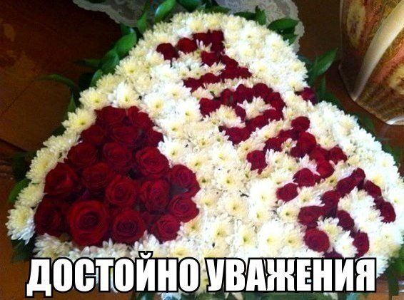 Прикольные картинки (88 фото)