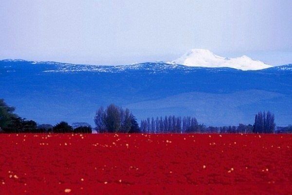 Прикольные картинки (88 фото)