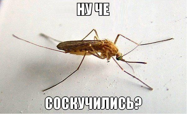 Прикольные картинки (88 фото)