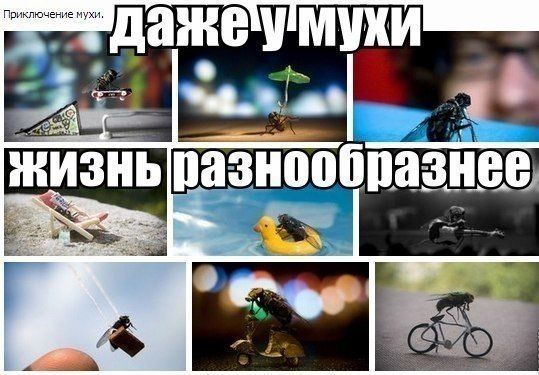 Прикольные картинки (88 фото)