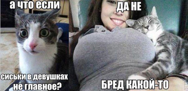Прикольные картинки (88 фото)