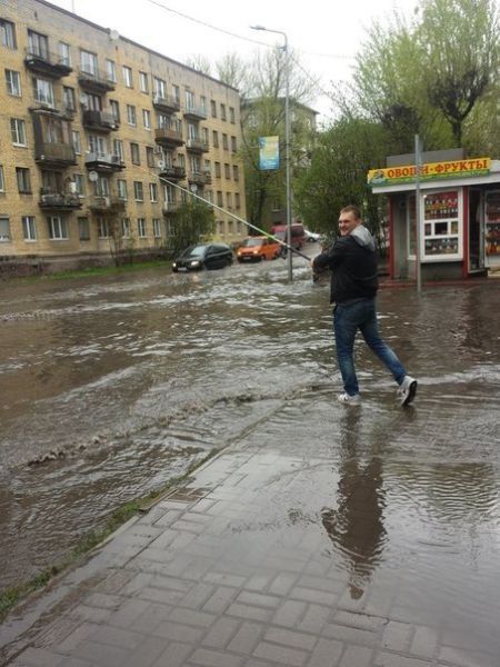 Прикольные картинки (88 фото)
