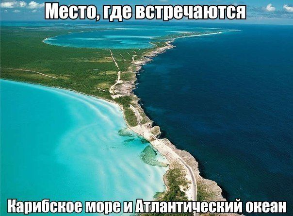 Прикольные картинки (88 фото)