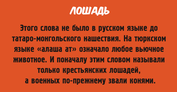 10 открыток с краткой историей всем знакомых слов