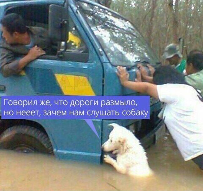 Подборка легкого юмора