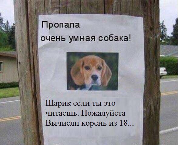 Подборка легкого юмора
