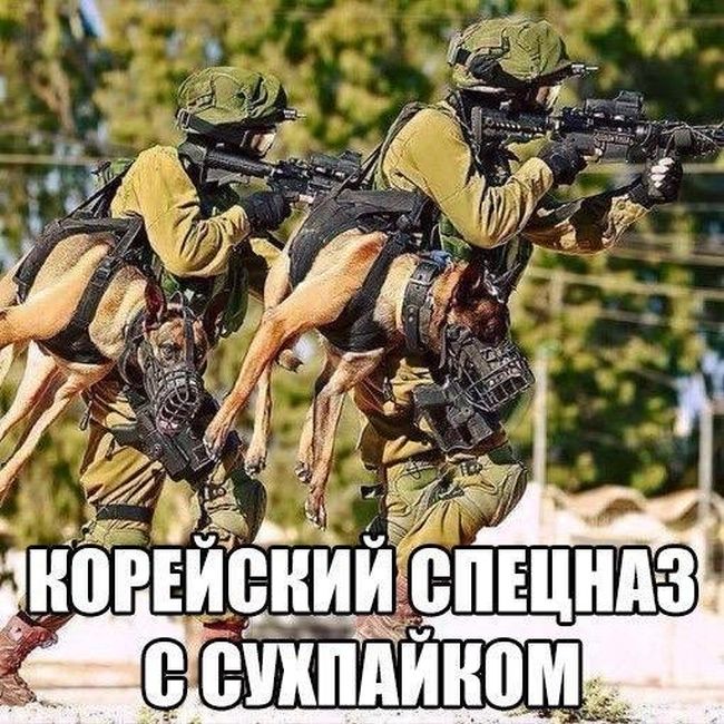 Подборка легкого юмора
