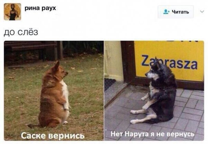 Подборка легкого юмора