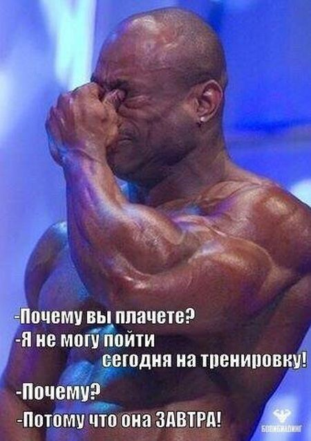 Подборка легкого юмора