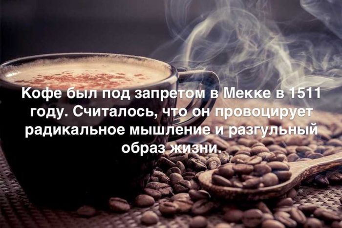 Любопытные и интересные факты обо всем на свете