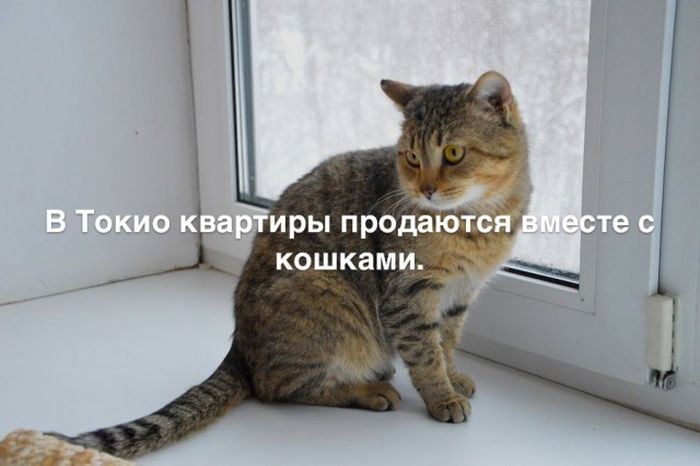 Любопытные и интересные факты обо всем на свете