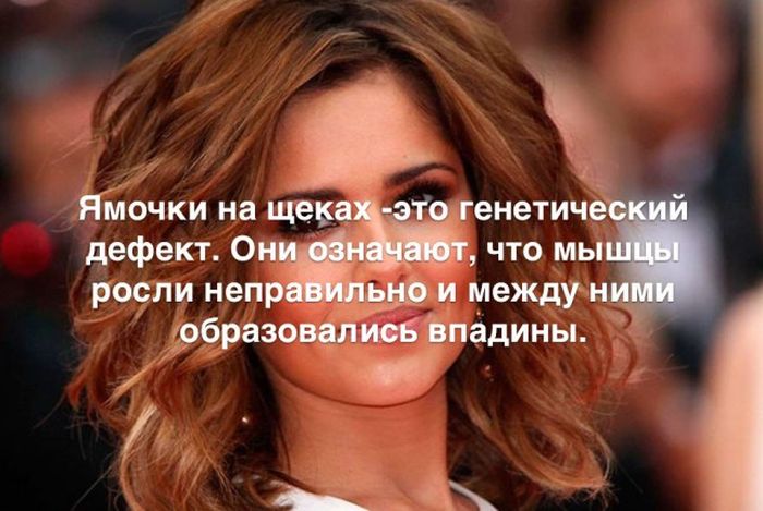 Любопытные и интересные факты обо всем на свете