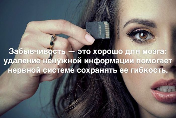 Любопытные и интересные факты обо всем на свете
