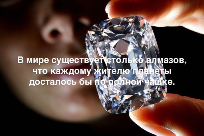 Любопытные и интересные факты обо всем на свете