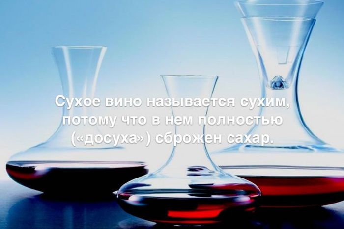 Любопытные и интересные факты обо всем на свете
