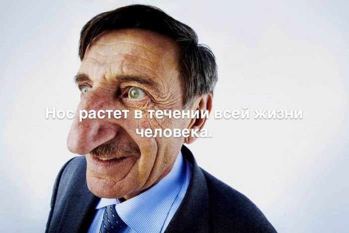 Любопытные и интересные факты обо всем на свете