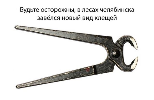 Прикольные картинки