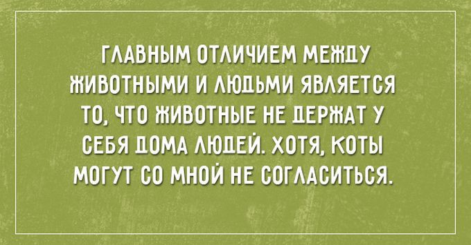 Кучка Аткрыток