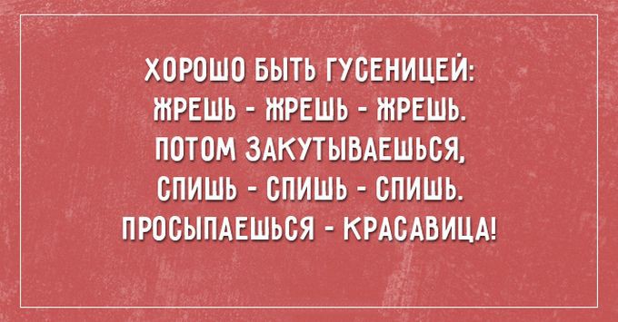 Кучка Аткрыток