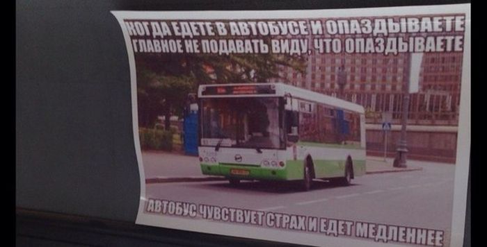 Порция картинок
