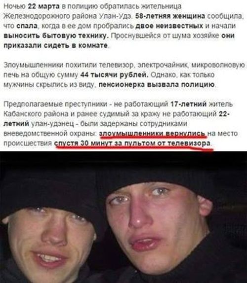 Порция картинок