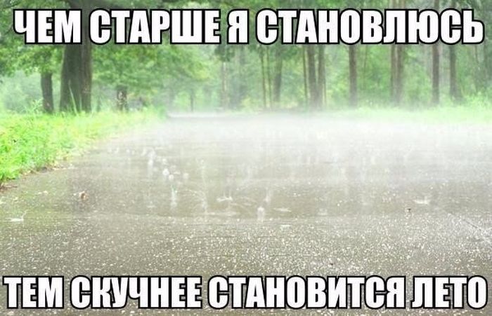 Порция картинок