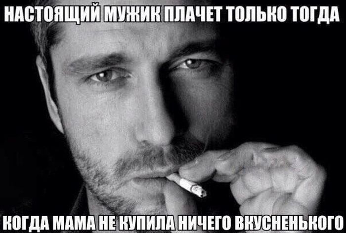 Порция картинок