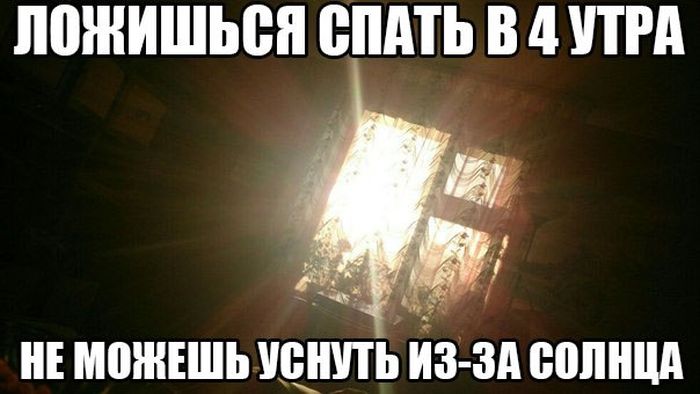 Порция картинок